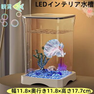 小型水槽 ベタ水槽 インテリア水槽　水槽サカナ ベタ飼育 インテリア水槽 卓上小型水槽 水槽 フタ受け付…
