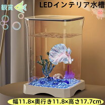 楽天市場】ベタ 水槽セット（熱帯魚・アクアリウム｜ペット・ペット 