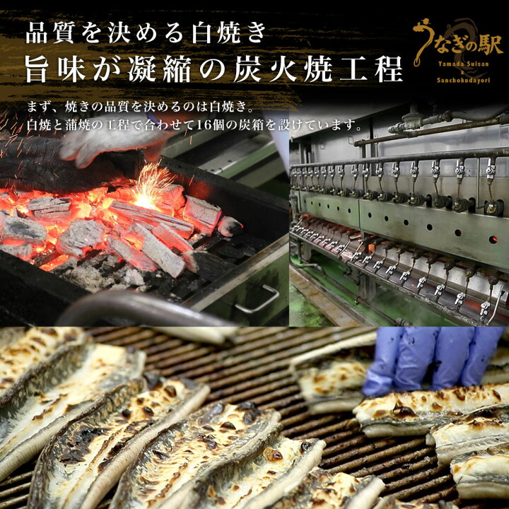 楽天市場】鹿児島県志布志産 山田水産 霧島湧水うなぎ 長蒲焼き 大サイズ3尾セット(140g前後×3尾)送料無料 鰻師 加藤尚武さん ギフト シーフード ギフト対応化粧箱 : 産直だよりPLUS+うなぎの駅 楽天市場】鹿児島県志布志産 山田水産 霧島湧水うなぎ 長蒲焼き 大サイズ3尾セット(140g前後×3尾)送料無料 鰻師 加藤尚武さん ギフト シーフード ギフト対応化粧箱 : 産直だよりPLUS+うなぎの駅