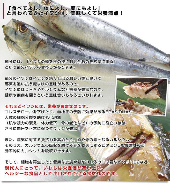 北海道より直送 北海道産 超特大いわし丸干し 巨大キングサイズ 尾セット 2キロ 1尾100g以上 尾 送料無料 クール冷凍便 日本正規品