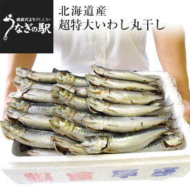 楽天市場 イワシ 北海道の通販