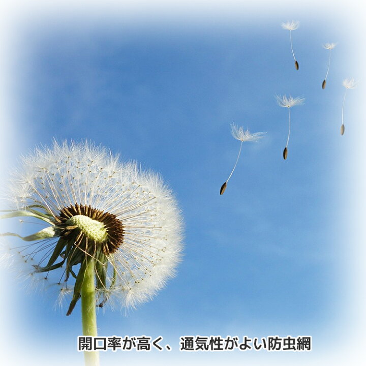 楽天市場 ポイント10倍 網戸 ネット 防虫網 侵入虫禁止ネット 長さ30m巻 幅910mm 目開き400mm 黒 防虫網専門店 換気 窓 サッシ サラン 防虫ネット サランネット 虫除けネット 張り替え 張替え 取り付け 簡単 張替え網 張り替え網 虫除け 防虫 三協アルミ Lixil