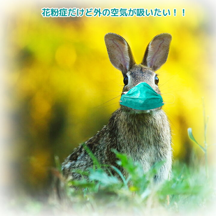 楽天市場】【ﾎﾟｲﾝﾄ5倍xｸｰﾎﾟﾝ】花粉 網戸 ネット 花粉対策張り替え 