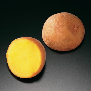 Vl CĴ߂߃n[tJbg(1kg)