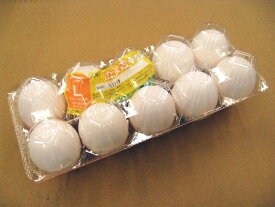 日常の食材 鶏卵 Lサイズ 1パック 10玉入