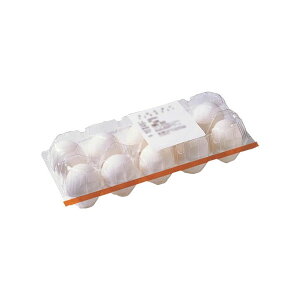 �L���[�s�[ �Ƃ�`�� ���n���܂� 10�ʓ� (�p�b�N��)