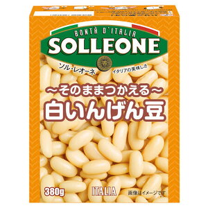  \EI[l ̂܂܂ 񂰂 380g