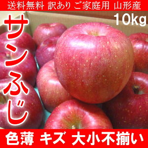  󂠂 ƒp R`Y Tӂ  F LY 召s 10kg \