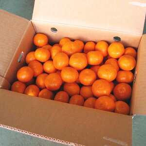 \ ݂ ~J  󂠂 2L3LTCY 8.5kg ƒp 