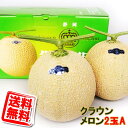 送料無料 静岡県産 クラウンメロン マスクメロン 静岡メロン A 2玉