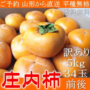  \ R`Y 󂠂 ` 햳`  JL 5kg Yn