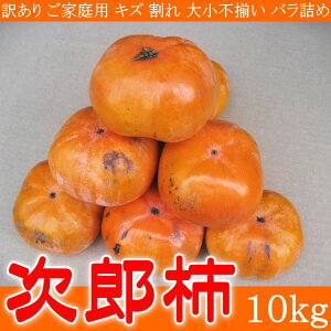\ 󂠂 ƒp Y` 10kg LY  召s ol  JL