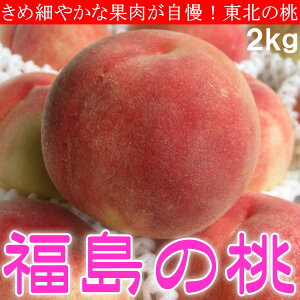 �������Y �~�X�s�[�` �� ���� ������ ���� ���� 2kg ���ϔ��� �������� ���\��