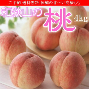 ������ �a�̎R�̓� ���� ���� 4kg ���ϔ� �������� ���\��