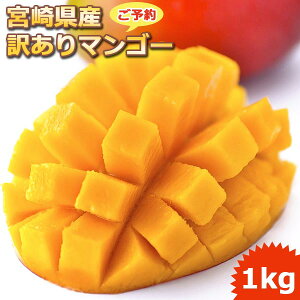 �󂠂� �{�茧�Y ���n �A�b�v���}���S�[ �{��}���S�[ ��1kg ���\��