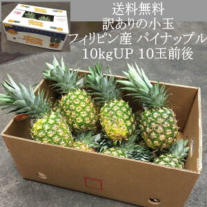 �������� �󂠂�̏��� �t�B���s���Y �p�C�i�b�v�� 10kgUP 10�ʑO��