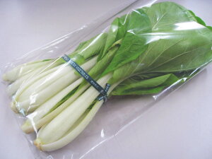 日常の一般野菜 しろな しろ菜 1袋
