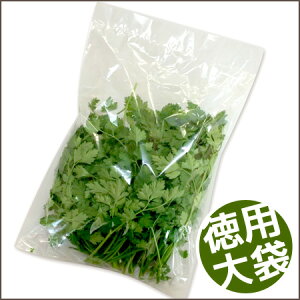 �����p �C�^���A���p�Z�� �p�X���[ �p�[�X���[ �����p �H�p�n�[�u 1��100g