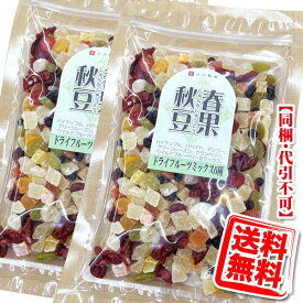 今川製菓 ドライフルーツ 6種ミックス×2袋セット 送料無料 メール便