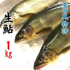 X[p[Z[⍑Y  () 1kg (10`15) Ɋ򕌌EmY