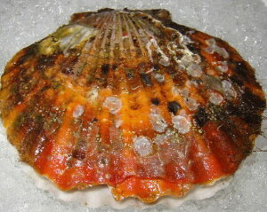 Y z^eL kt WTCY 25 BBQ