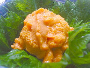 ō kCH NxQ _OiɁj80`90g