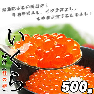 ʌ@tCN ( ݖЂ) 500g Ⓚ  (`)
