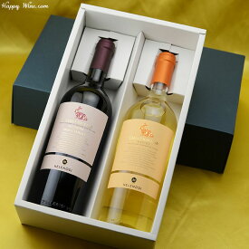 ◎【送料込み・化粧箱入り】イタリアワイン　かわいいルックスの実力派セット【2】 750ml×2本