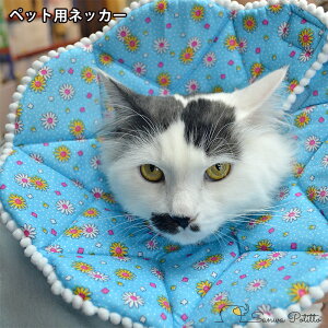 Aj}lbJ[ ԕ y25cmz z u[ F t[`[t ybgplbJ[ GUxXJ[ 083-105 ȒP \tgGUxX y 炩 Ђh~ pPA x