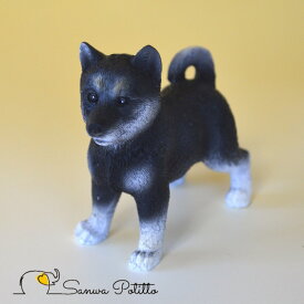 楽天市場 柴犬 豆柴 インテリア 寝具 収納 の通販