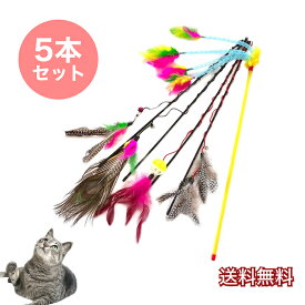 猫じゃらし 5本セット ねこじゃらし 猫用おもちゃ 猫のおもちゃ 羽根 ねこ ネコ 羽根 鈴 おもちゃ猫用品 ペット用品 猫おもちゃ ストレス解消 運動不足解消 コンパクト 鳥の羽 頑丈 カラフル