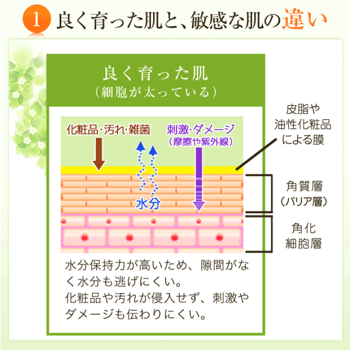 サッポー エスカバー（敏感肌用クリーム） : サッポー Yahoo!店