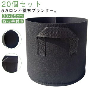 20Zbg sDzv^[ 5K 30x25cm sDz|bg t v^[ z ͔| tFg A  [^ Aؔ tFgv^[ y y ƒ؉ x_؉  