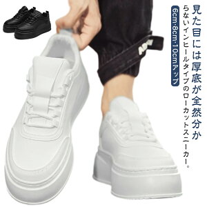 Y V[NbgV[Y [Jbg Xj[J[ 6cmAbv 8cm 10cm V[NbgXj[J[ Xj[J[ [XAbv Ȃ gAbv Cq[Xj[J[ JWA V[