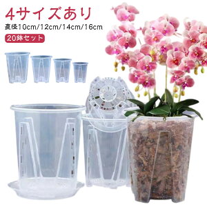  Aؔ 20Zbg Ӓ Aؔ c|bg  vX`bN t Mt ̔ Ӓ m rt  O Ӓ̐Aւ I[Lbh|bg ϗtA A 