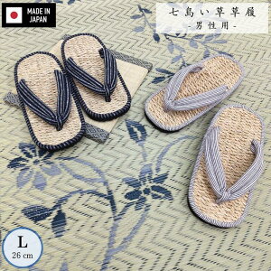 Y jp F܂ L:26cm ڌ vŏɂ a