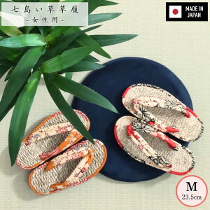 Y p F܂ M:23.5cm ڌ vŏɂ a