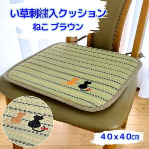 V[gNbV ˂ uEF 40x40cm hJ 炳G ŒRt