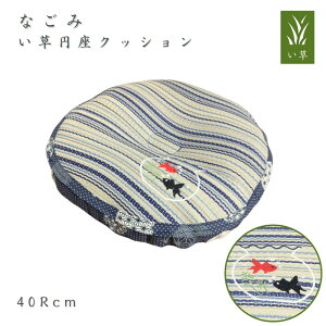 ~NbV Ȃ 40Rcm hJ afUC w^ɂᔽ`bvE^gp 炳甧G