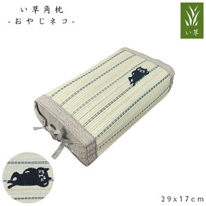 p ₶lR 29x17cm 炳甧G dPPpCv V[Yi