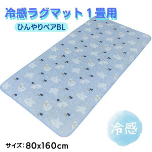 ЂN[⊴O}bg ЂxA 80x160cm u[ Gu₩ ֗1pTCY