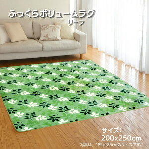 ӂ{[ tlOu[tvO[F 3p 200x250cmyzbgJ[ybgEgΉz