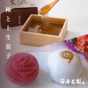 300円OFFクーポン 【送料無料】 母の日 プレゼント ギフト 限定! 「本わらび餅「極み」&上生菓子セット」【フラワー付ギフト】(ママ 義理母 カーネーショ...