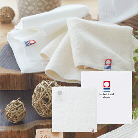 今治 エコナチュール タオルハンカチ 25cm ホワイト E-31515 送料無料 (メール便/同梱不可)【_