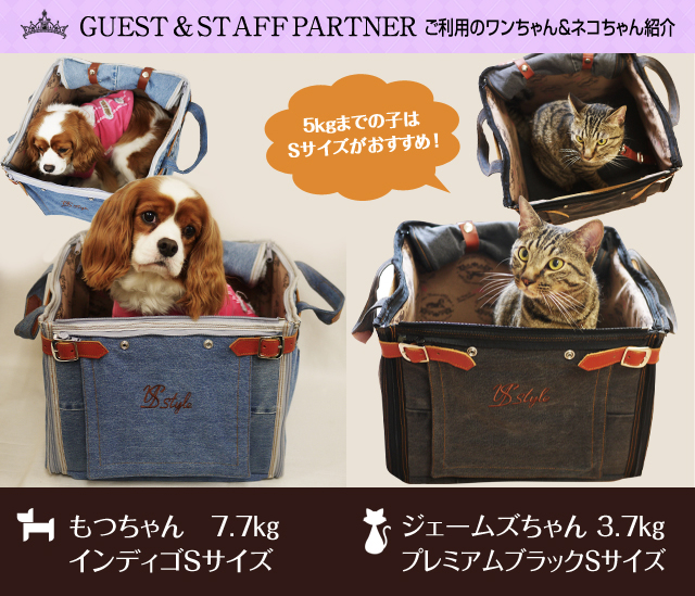再入荷 ドライブボックス インディゴ Ｍサイズ【〜10kg】 小型犬 犬猫兼用 車 犬用 【在庫商品】【あす楽対応】 | ルシアン・エ・サヨ