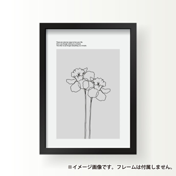 楽天市場 Daffodil 水仙 花 イラスト モノトーン モノクロ インテリア アート ポスター 壁掛け シンプル おしゃれ 北欧 韓国 雑貨 備品販促二郎
