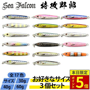 \30日ポイント5倍/【ジグ3つセット カラーランダム】特攻野郎 30g 40g ※カラーはランダムになります。青物 根魚 ショアジギング オフショア 釣具 メタルジグ 初心者 セット商品 釣り具 ル