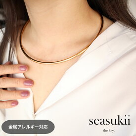 チョーカー ステンレス 金属アレルギー対応 シンプル サージカル ステンレス ネックレス セレモニー カジュアル デイリー 大人かわいい 上品 きれいめ 韓国アクセサリー プレゼント ギフト