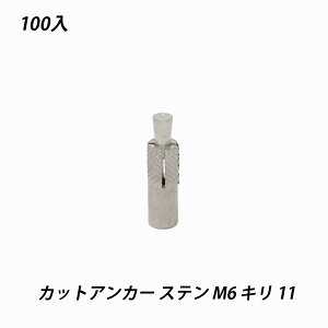 yő15 12/11()01:59܂ŁzJbgAJ[ SUS M6 L11.0 100 z yV  P[ubN  Xe z[N