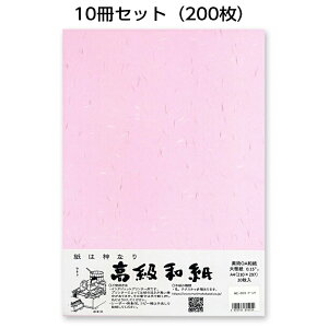 10ZbgbzOa܂@뎆@sNME-003@^CvOAa@A4@20@v^[p